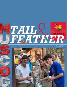 2026 Spring Tail and Feather Thumbnail